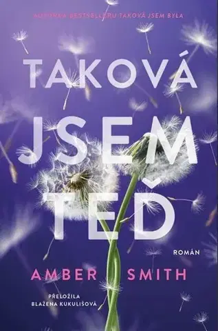 Romantická beletria Taková jsem teď - Amber Smith,Blažena Kukulišová