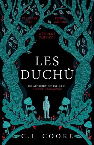 Detektívky, trilery, horory Les duchů - Cooke Carolyn Jess