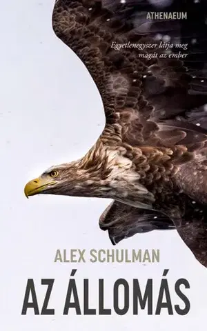Svetová beletria Az állomás - Alex Schulman,Péter Papolczy