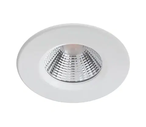 Svietidlá Philips - LED Stmievateľné kúpeľňové svietidlo DIVE LED/5,5W/230V 2700K IP65 8718699755720