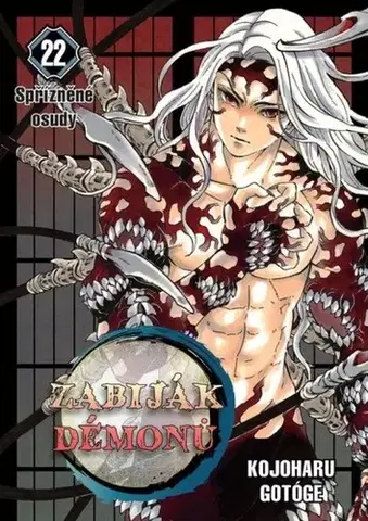 Manga Zabiják démonů 22: Spřízněné osudy - Koyoharu Gotouge,Eliška Kabelková Vítová,Petr Kabelka