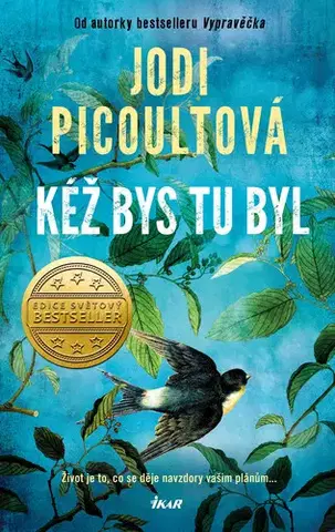 Romantická beletria Kéž bys tu byl - Jodi Picoultová
