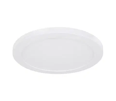 Svietidlá Globo 12379-24W - LED Stropné svietidlo LASSE LED/24W/230V 12379-24W