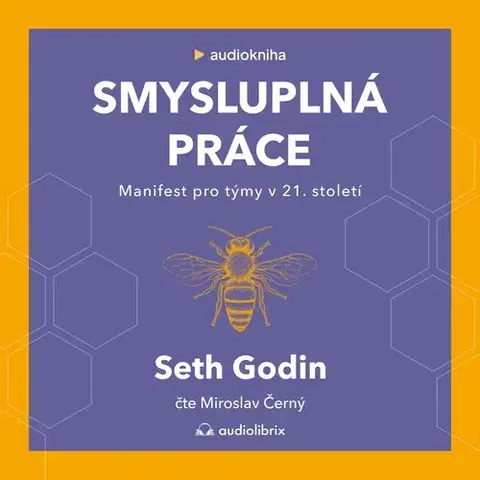 Ekonómia, manažment, marketing Audiolibrix Smysluplná práce