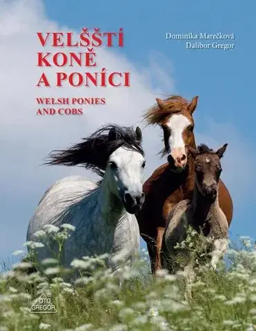Kone Velšští koně a poníci / Welsh Ponies and Cobs - Dominika Marečková,Dalibor Gregor