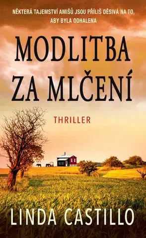 Detektívky, trilery, horory Modlitba za mlčení - Linda Castillo