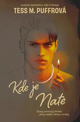 Erotická beletria Kde je Nate - Tess M. Puffrová