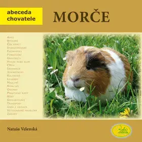 Zvieratá, chovateľstvo - ostatné Morče - Nataša Velenská