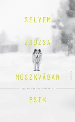 Svetová beletria Moszkvában esik - Selyem Zsuzsa
