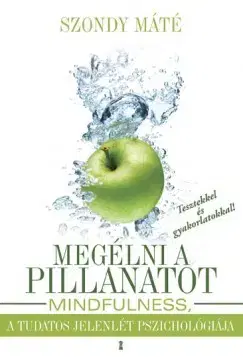 Odborná a náučná literatúra - ostatné Megélni a pillanatot - Máté Szondy