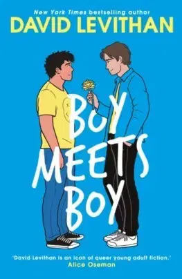 Young adults Boy Meets Boy - David Levithan