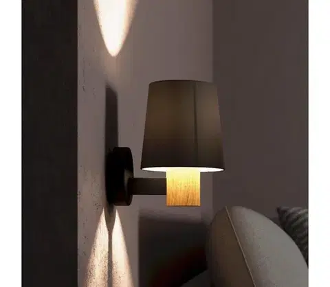Svietidlá Eglo 43783 - Nástenné svietidlo EDALE 1xE27/40W/230V 43783