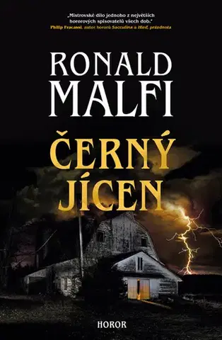 Detektívky, trilery, horory Černý jícen - Ronald Malfi
