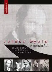 Svetová beletria A tékozló fiú - Gyula Juhász