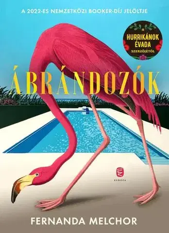 Svetová beletria Ábrándozók - Fernanda Melchorová,Anikó Vajdics
