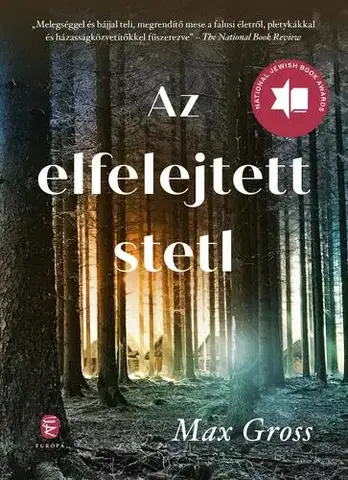 Svetová beletria Az elfelejtett stetl - Max Gross