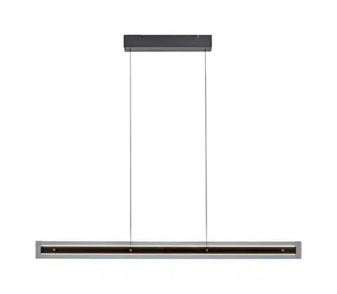 Svietidlá Schöner Wohnen 11316-18 - LED stmievateľný luster na lane LENA LED/32W/230V čierna 11316-18