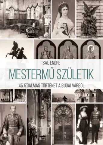 Dejiny, teória umenia Mestermű születik: 45 izgalmas történet a Budai Várból - Endre Sal