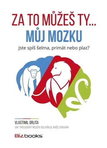 IQ testy, logika Za to můžeš ty... můj mozku - Vlastimil Orlita