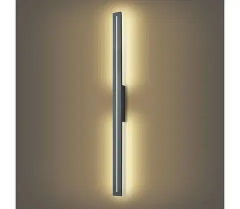 LED osvetlenie BRILAGI - LED Vonkajšie nástenné svietidlo LINEO LED/24W/230V 3000K IP65 antracit BRI272