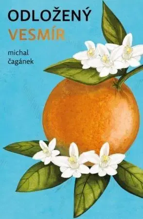Česká beletria Odložený Vesmír - Michal Čagánek