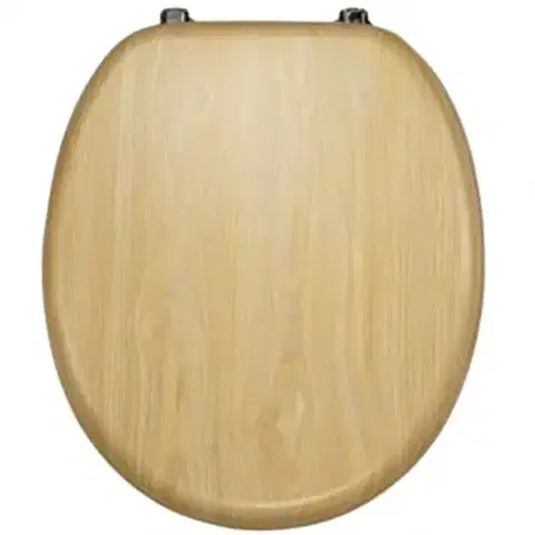 WC dosky WC Doska Briza