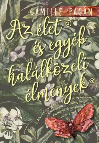 Svetová beletria Az élet és egyéb halálközeli élmények - Camille Pagánová