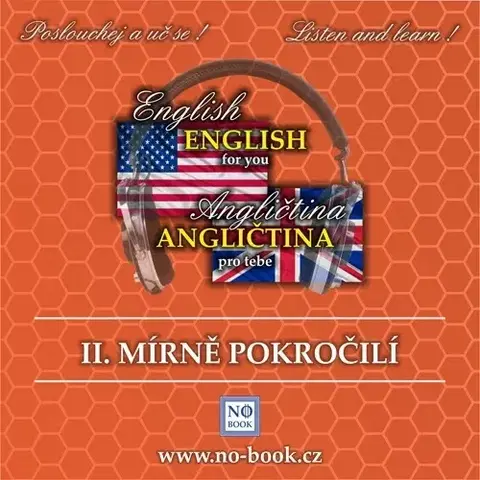 Jazykové učebnice - ostatné Ludvík Richard Angličtina pro tebe 2 - mírně pokročilí