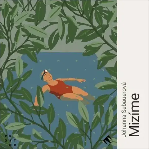Svetová beletria Tympanum Mizíme - audiokniha CD