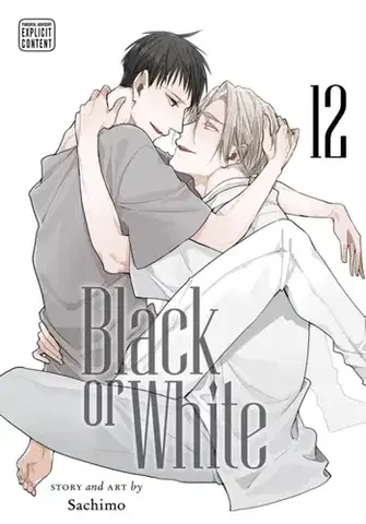 Beletria - ostatné Black or White, Vol. 12 - Sachimo