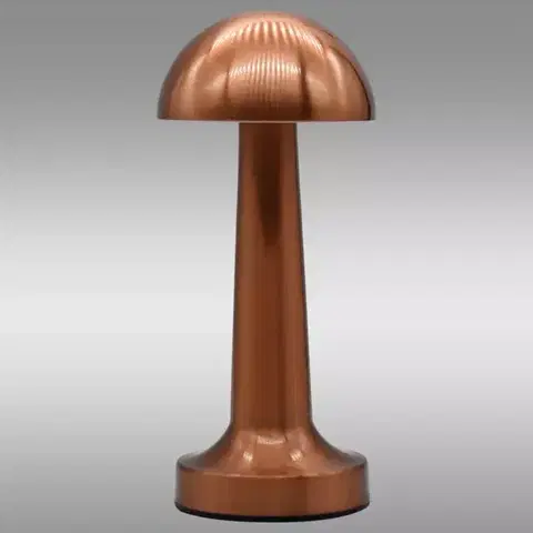 Lampy do obývačky Stolná lampa ISA 49020 PINK-GOLD USB LB1