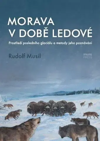 Pre vysoké školy Morava v době ledové - Rudolf Musil