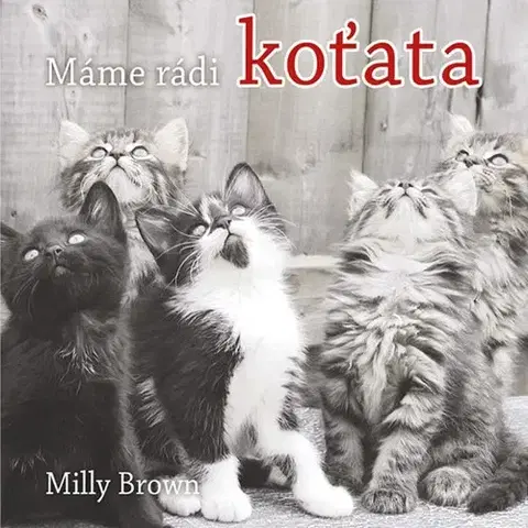 Humor a satira Máme rádi koťata - Milly Brown,Vlasta Hesounová