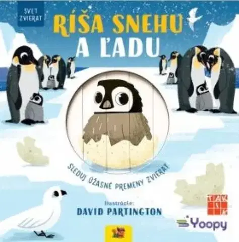 Leporelá, krabičky, puzzle knihy Ríša snehu a ľadu - svet zvierat - Kolektív autorov