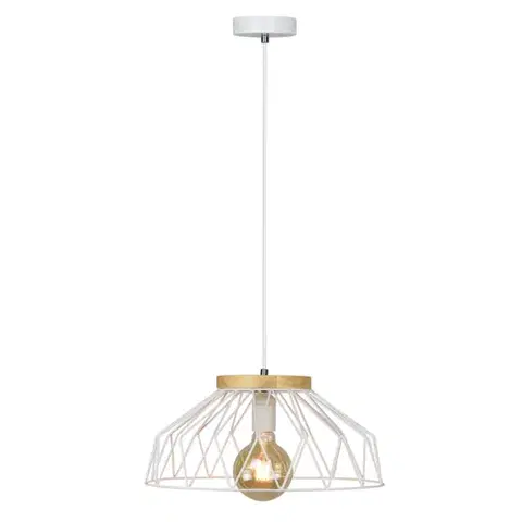 LED osvetlenie Závesná lampa TREX TYP 2 Tempo Kondela