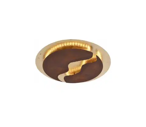 Svietidlá Paul Neuhaus 6983-48 - LED Stmievateľné stropné svietidlo NEVIS LED/42W/230V 6983-48