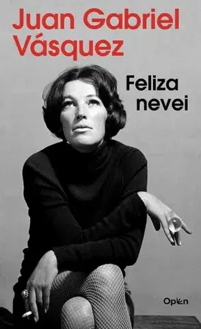 Beletria - ostatné Feliza nevei - Juan Gabriel Vásquez