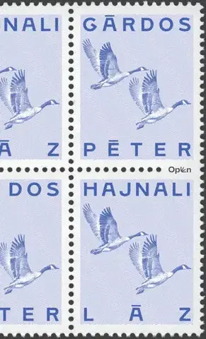 Svetová beletria Hajnali láz - Péter Gárdos