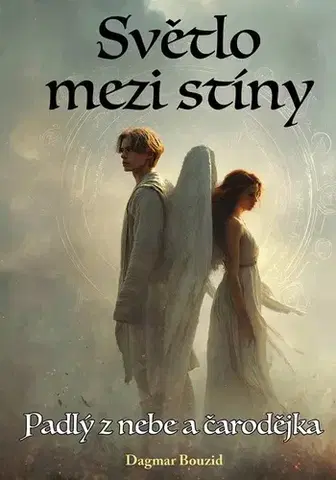 Sci-fi a fantasy Světlo mezi stíny: Padlý z nebe a čarodějka - Dagmar Bouzid