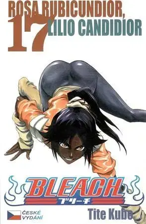 Manga Bleach 17: Rosa Rubicundior, Lilio Candidor - Kubo Tite