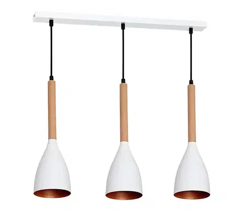 Svietidlá  Luster na lanku MUZA 3xE27/60W/230V 9108