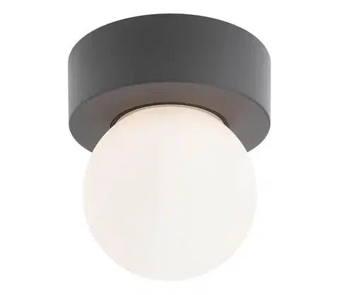 Záhradné lampy Redo 90641 - Vonkajšie stropné svietidlo BULK 1xE27/28W/230V IP44 antracit 90641