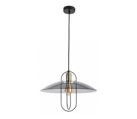 Svietidlá Rabalux 5000 - Luster na lanku VIDA 1xE27/8W/230V 5000