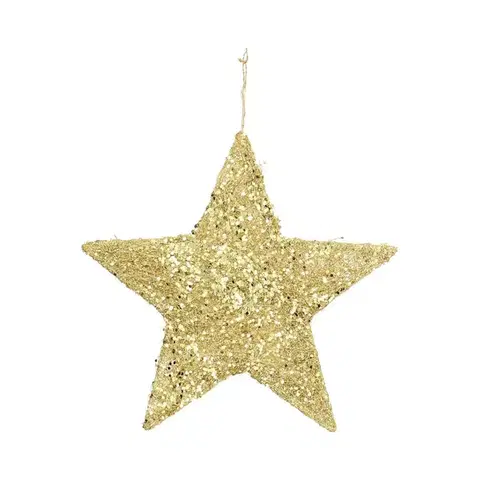 Vianočné dekorácie Dekorácia Golden Star 30cm