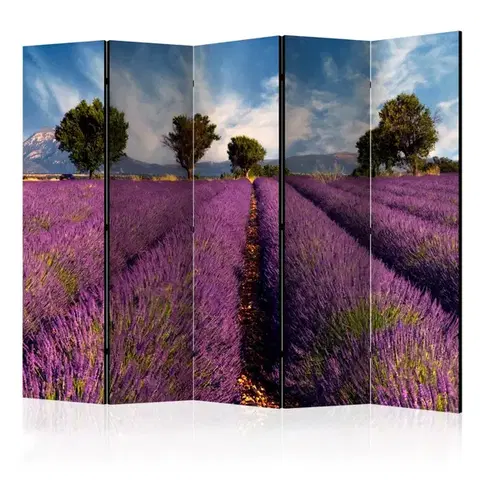 Paravány Paraván Lavender field in Provence, France Dekorhome