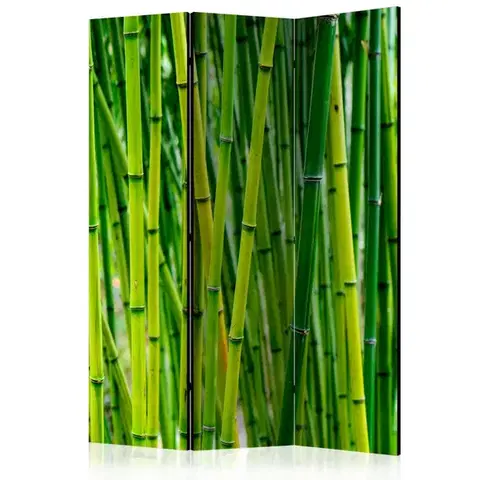 Paravány Paraván Bamboo Forest Dekorhome