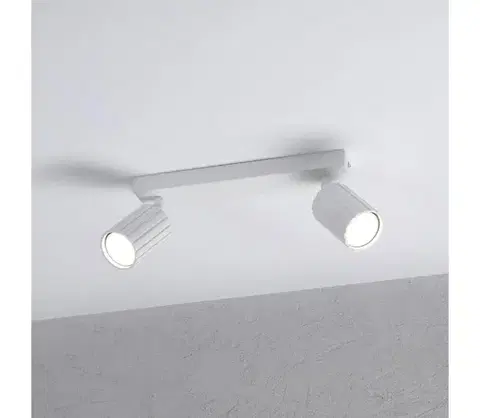 Svietidlá BRILAGI - Bodové svietidlo CRISPINA 2xGU10/10W/230V biela 8590828132516