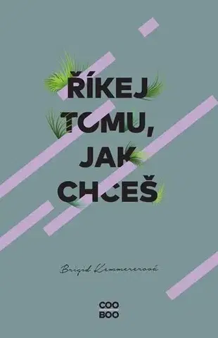 Young adults Říkej tomu, jak chceš, 2. vydání - Brigid Kemmerer,Helena Šváchová