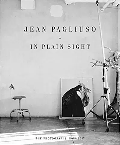 Fotografia Jean Pagliuso - In Plain Sight - Kolektív autorov