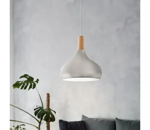 Svietidlá Eglo 96985 - Závesné svietidlo SABINAR 1xE27/60W/230V pr. 28 cm strieborná 96985